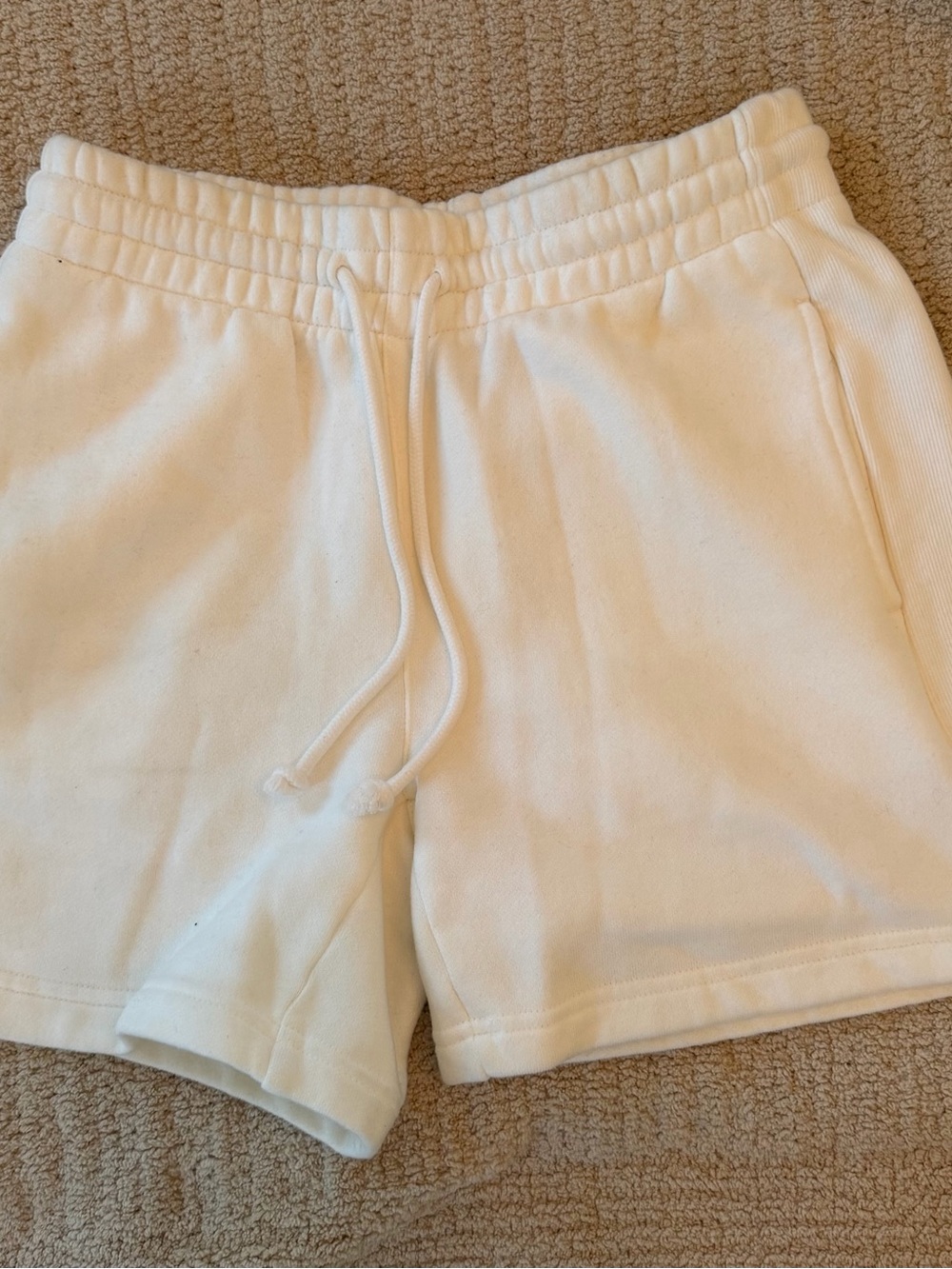 Aritzia Cozy Sweatfleece Boyfriend Mid-Thigh Short